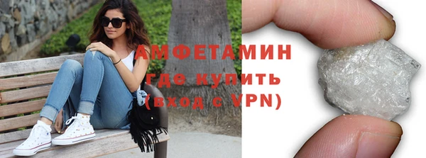 индика Богородицк