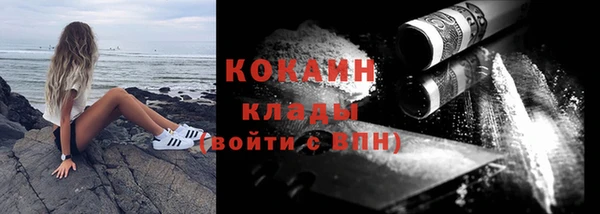 индика Богородицк