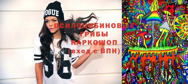 индика Богородицк