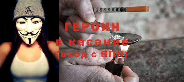 индика Богородицк