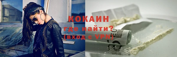 индика Богородицк