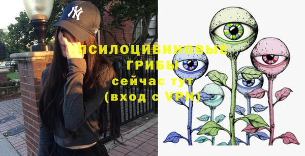 экстази Богданович