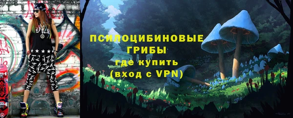 индика Богородицк