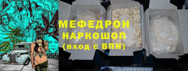 индика Богородицк