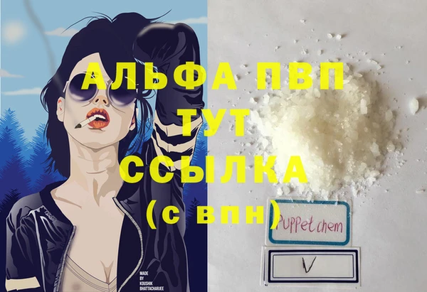индика Богородицк
