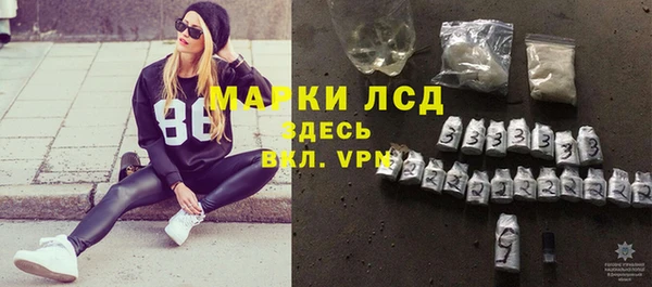 индика Богородицк