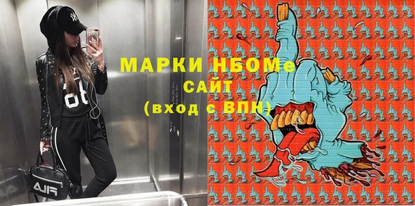 индика Богородицк