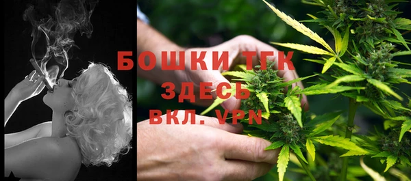 экстази Богданович