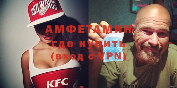 индика Богородицк