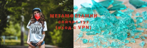 индика Богородицк
